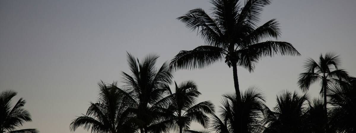 a beach in Florida close to substance abuse treatment centers