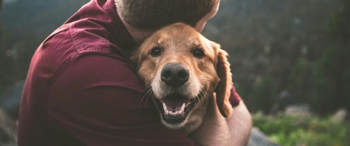 Happy dog is being hugged owner in animal therapy