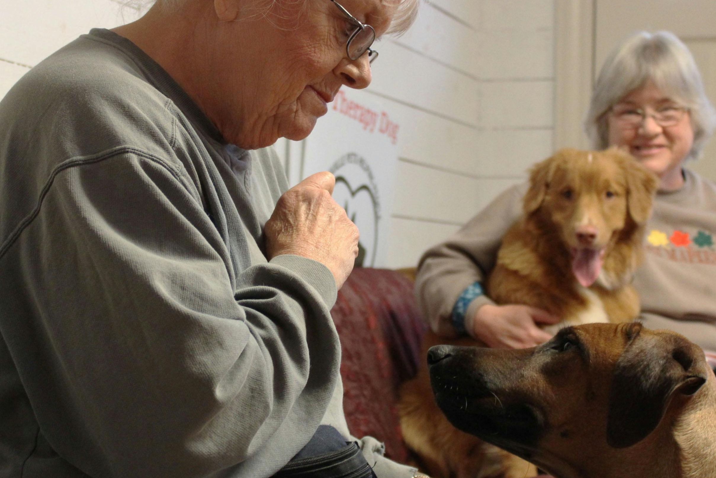 Two older women interacting with therapy dogs during a pet therapy session, showing the calming and supportive role of animals in emotional and mental health recovery.